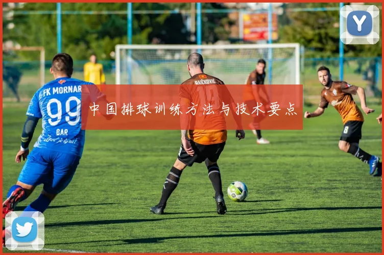 中国排球训练方法与技术要点